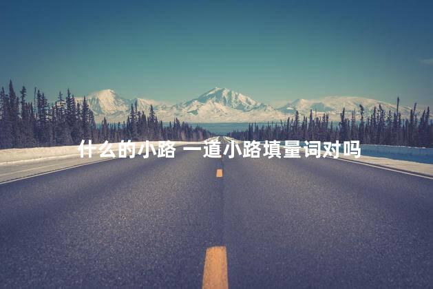 什么的小路 一道小路填量词对吗